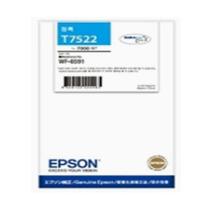 엡손 C13T752270(T752)파랑 정품잉크